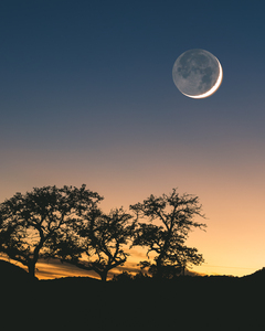Moon Rising Over the Sunset