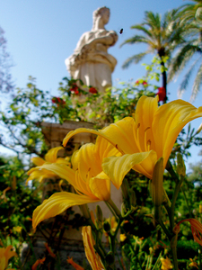 Parque de Mar  a Luisa   Sevilla  Spain