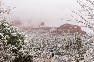 Snow in Sedona  Arizona