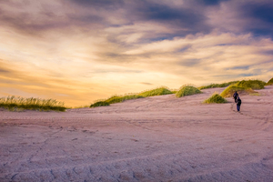 Stroll Through Vast Sand Dunes