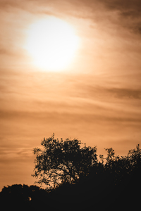 The Sun Rises On A Cloudy Morning