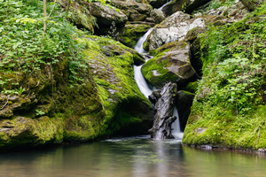 Waterfall in the Forest