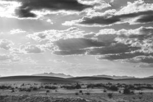 White Sands in Black and White