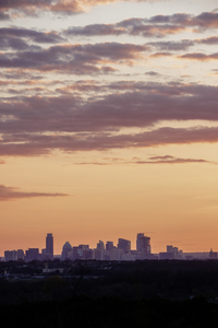 Austin Skyline At Sunset