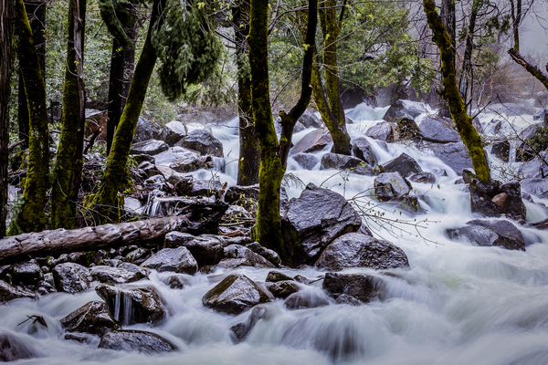 Bridalveil Roaring River Print