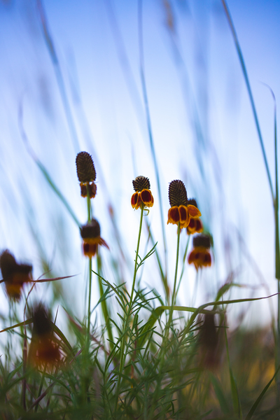 Mexican Hat by Aperture Adventure Delaney Van