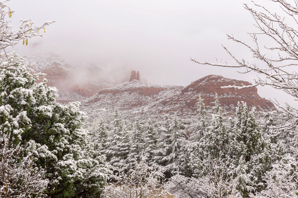 Snow in Sedona  Arizona Print