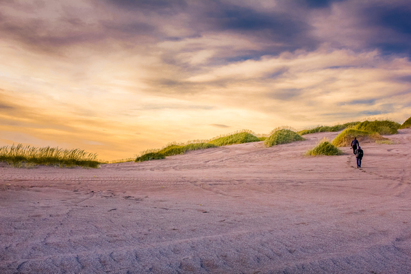 Stroll Through Vast Sand Dunes Print