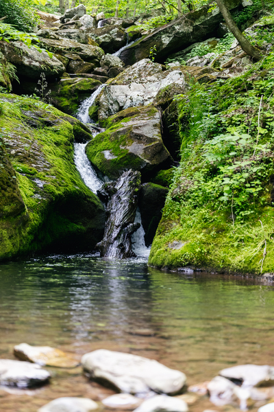 South River Falls Print