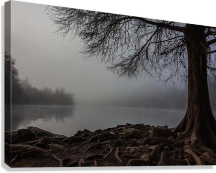 Foggy Morning at Red Bud Isle in Austin  Texas Canvas Print