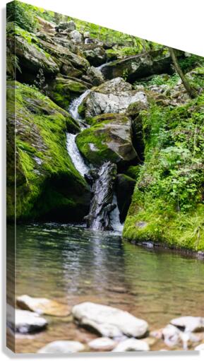 South River Falls Canvas Print