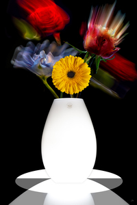 FLUID FLOWERS I