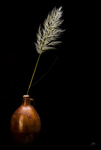 Still life with pottery and plume