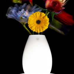 FLUID FLOWERS I