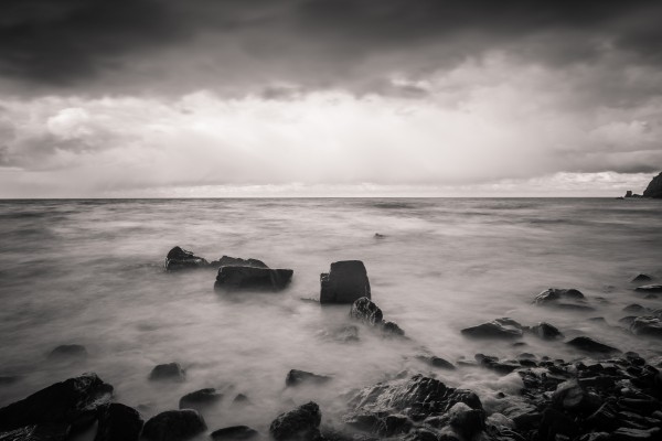 In the thick of it by Roman Buchhofer
