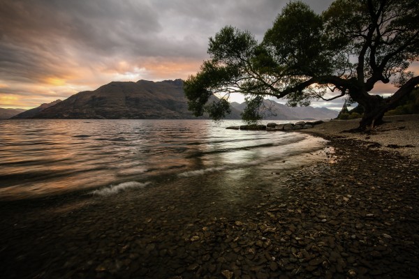 Queenstown by Roman Buchhofer