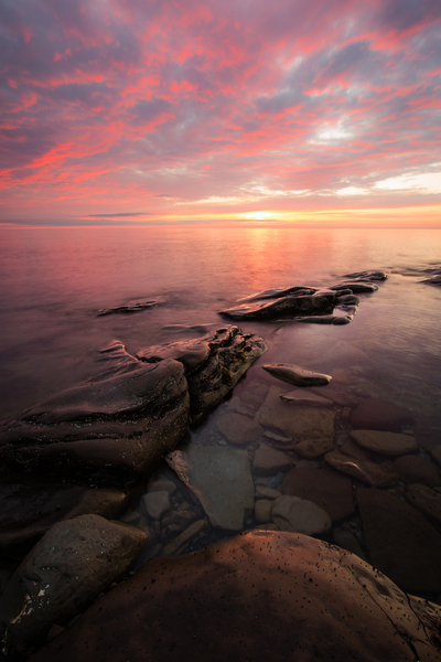 Moments of bliss by Roman Buchhofer