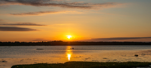 END OF THE DAY