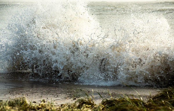 SURF SPLATTER Print