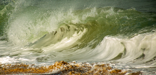 SAND & SURF Print
