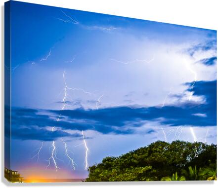 ELECTRIC Canvas Print