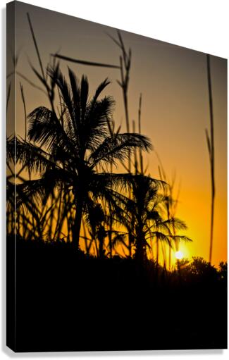 SUMMER DAZE Canvas Print
