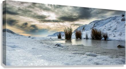 BALTIC Canvas Print