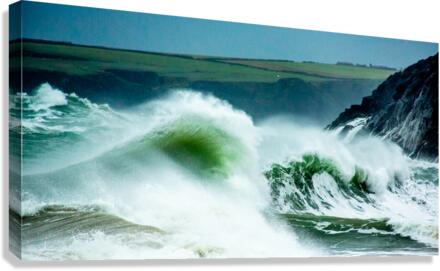 FIERCE Canvas Print
