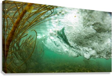 SWIRL Canvas Print