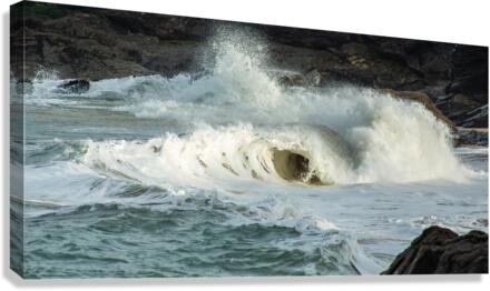 FROTH Canvas Print
