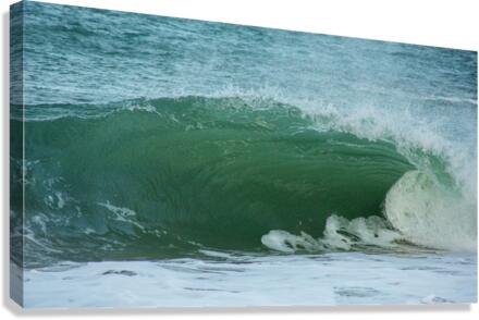 THE RIPPLE EFFECT Canvas Print