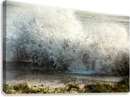 SURF SPLATTER Canvas Print