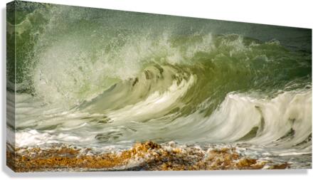 SAND & SURF Canvas Print