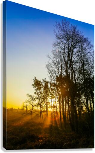 SHINNING THROUGH Canvas Print