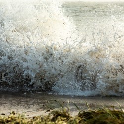 SURF SPLATTER