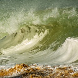 SAND & SURF