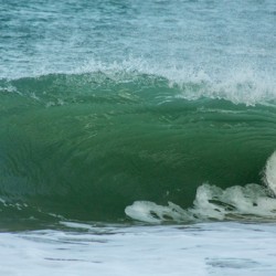 THE RIPPLE EFFECT