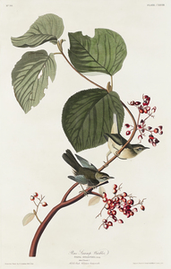 25  John James Audubon 163