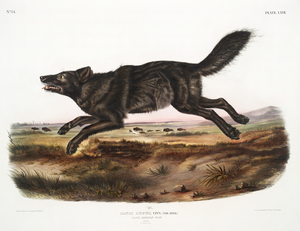 25  John James Audubon 23