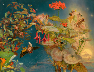 8765 John George Naish  Midsummer Night’s Fairi