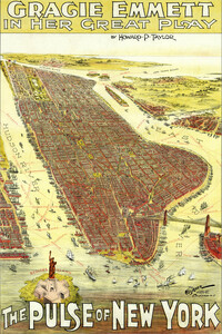 5242 The Pulse of New York 1891