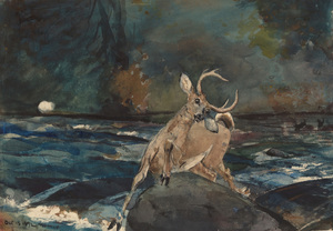 7457 Winslow Homer A Good Shot Adirondacks 1892.j