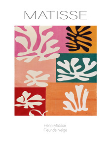 7497  Henri Matisse fleur de neige