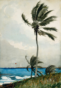 8579 Winslow Homer Palm Tree Nassau 1898