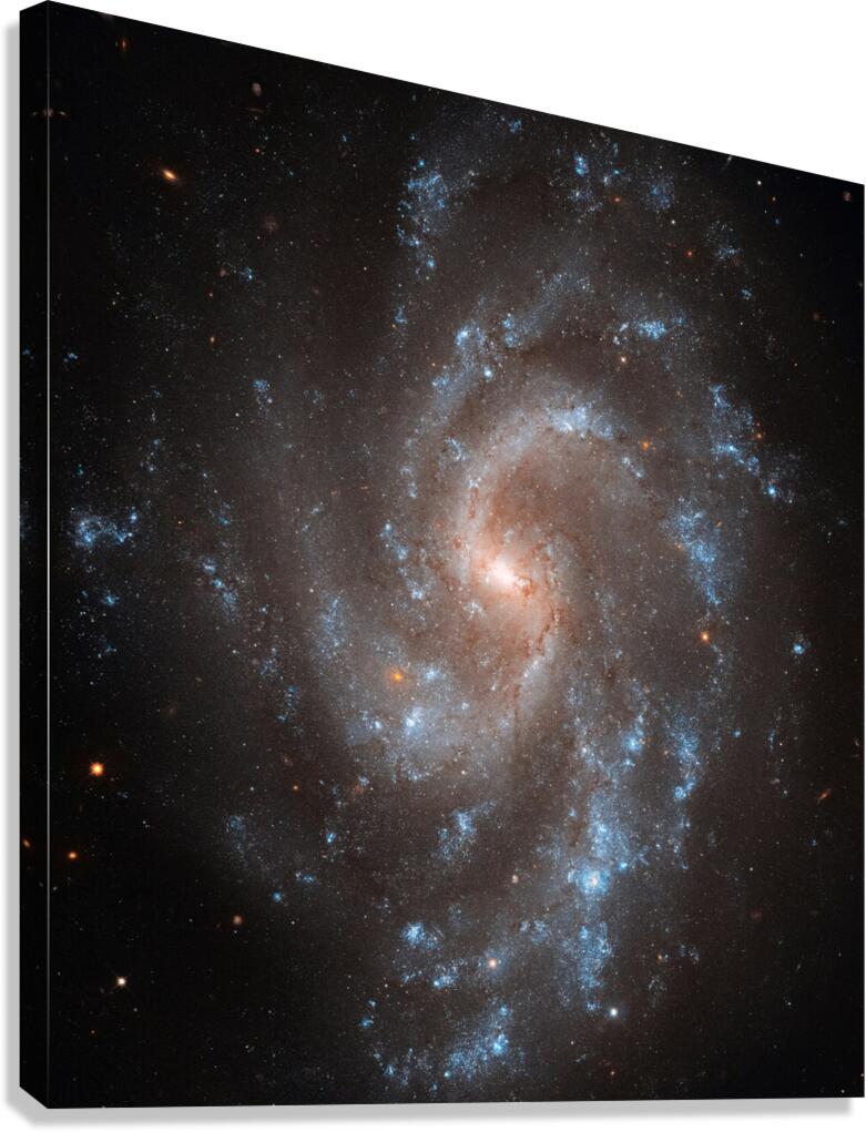 hubble telescope high definition image 02 28 Canvas Print