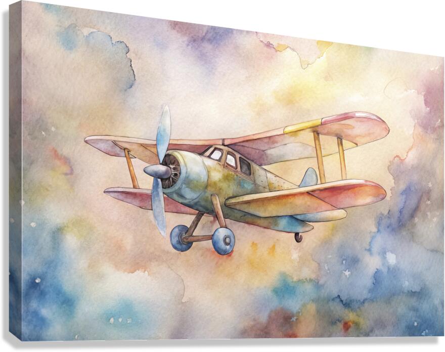 08 avion Canvas Print