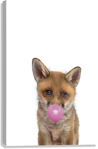 fox gum Canvas Print