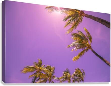 miami Canvas Print