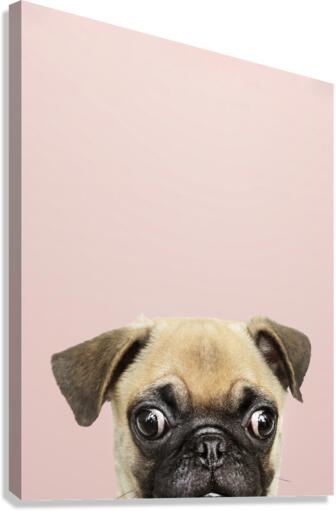 halftone dog Canvas Print