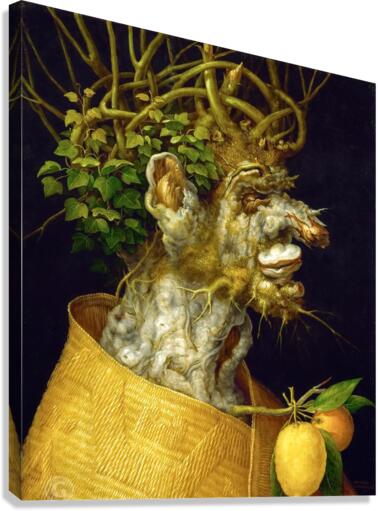 Giuseppe Arcimboldo by artvi Wall Art